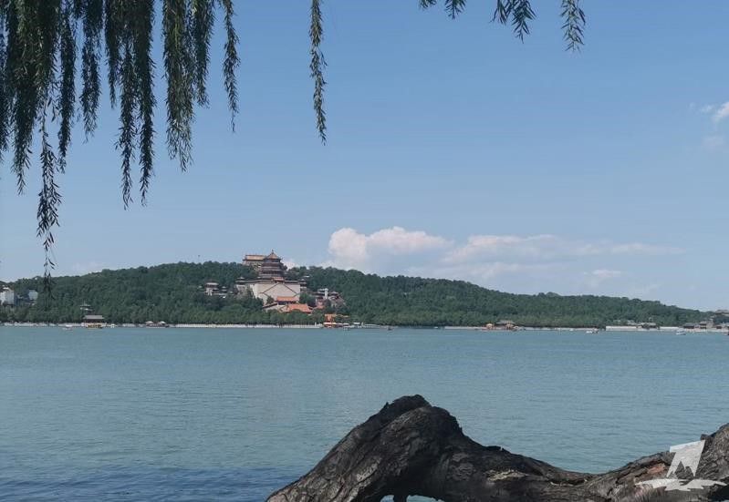 微信截图_20210826095009