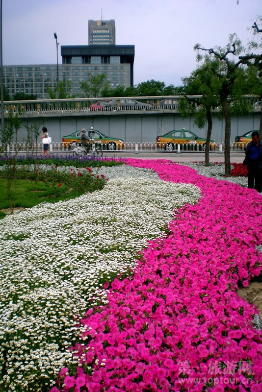 色带--林芳竹摄影<br>